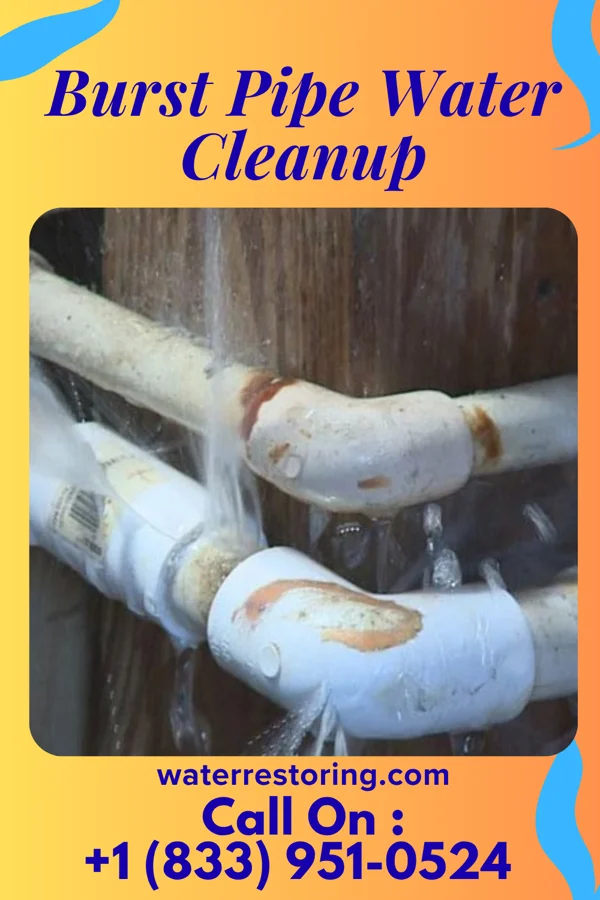 Burst Pipe Water Cleanup in Connecticut Farms, NJ