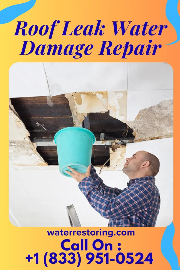 Roof Leak Water Damage Repair in Connecticut Farms, NJ