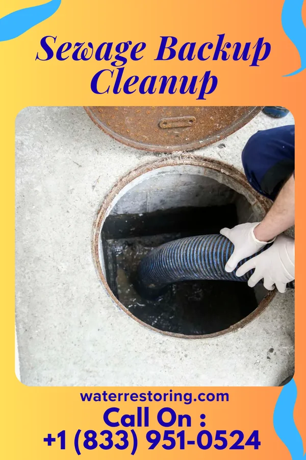 Sewage Backup Cleanup in Connecticut Farms, NJ