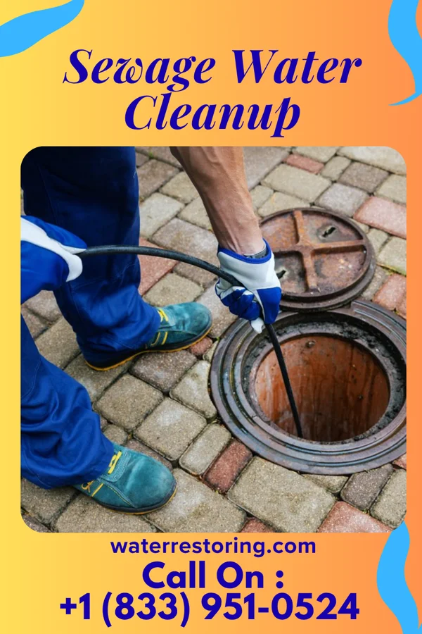 Sewage Water Cleanup in Connecticut Farms, NJ